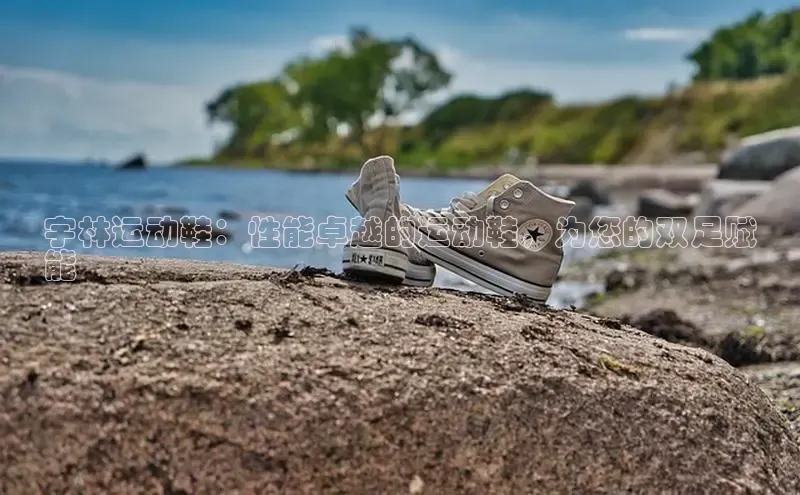 意昂3官网入口猫眼宇林运动鞋：性能卓越的运动鞋，为您的双足赋
能