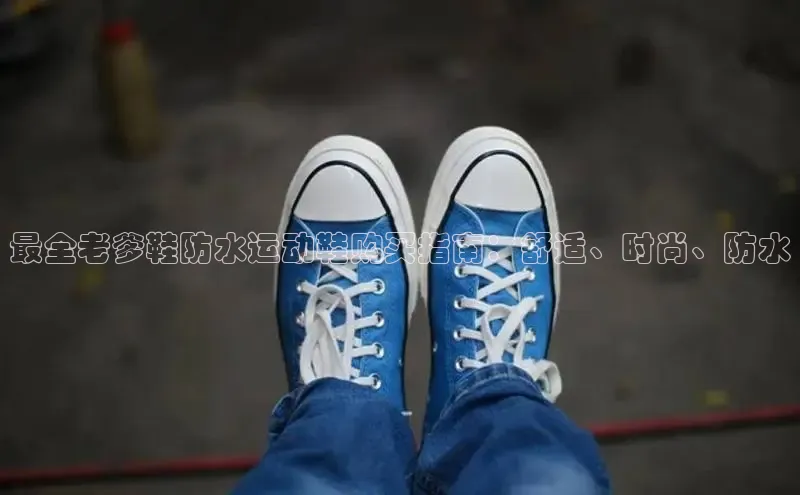 意昂3手游平台官网百度社团赞助平台最全老爹鞋防水运动鞋购买指南：舒适、时尚、防水