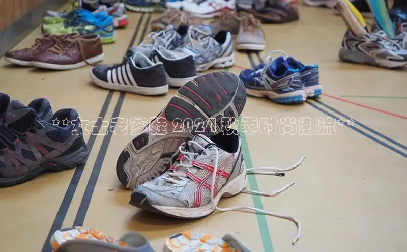 易昂体育3百度教育**女士老爹鞋 2024 秋季时尚潮流**