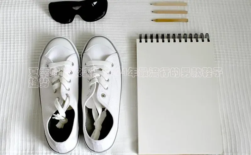 意昂3手游平台官网顺丰夏季时尚来袭：2024年最流行的男款鞋子
趋势