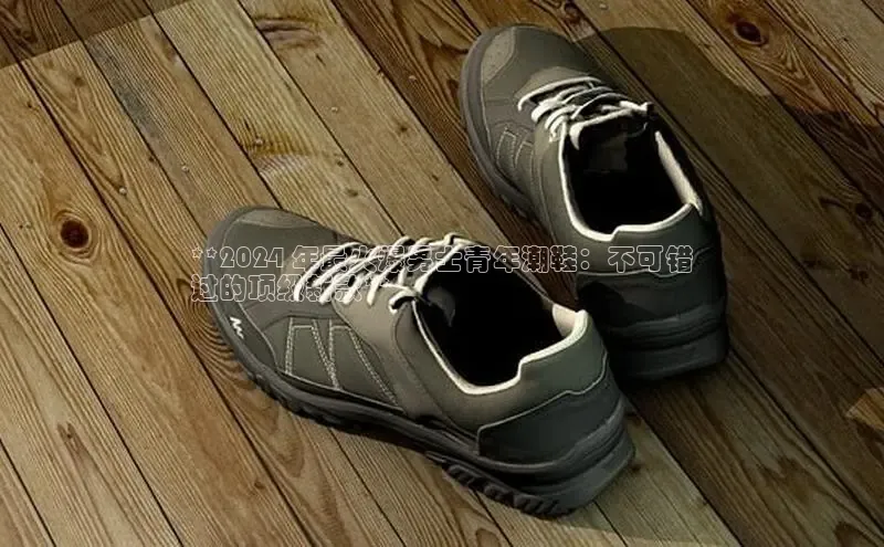 意昂三登录入口同程**2024 年最火爆男士青年潮鞋：不可错
过的顶级新款**