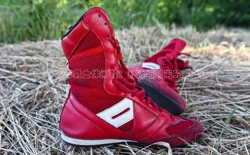 意昂三登录入口极氪智能科技**2024 年男士休闲鞋：舒适与时尚的完美结合
**