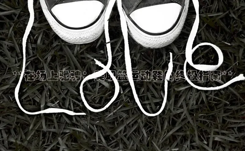 意昂体育3娱乐用176五八27从每日互动**在场上驰骋：美职篮运动鞋的终极指南**