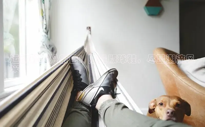 意昂3手机登录官方网站中文在线运动鞋乔丹紫色：限量版球鞋，尽显潮流风
采