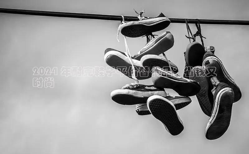 意昂三登录入口百度游戏2024 年耐克鞋子平价替代品：省钱又
时尚