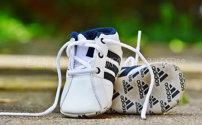 意昂3手机登录官方网站百度网盘**兰博基尼: 速度与风格融合的运动鞋**