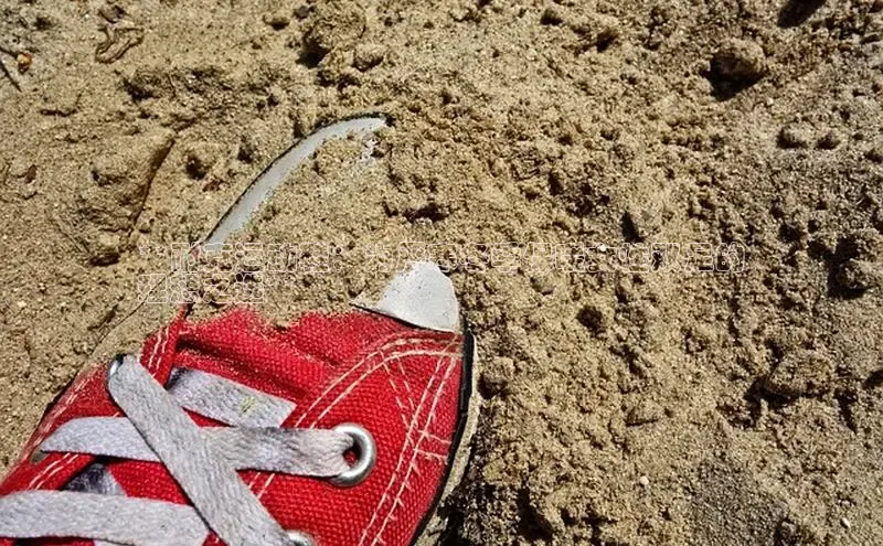 意昂3官网登陆入口宇信科技**耐克运动鞋：为严寒冬季保暖女性双足的
理想之选**