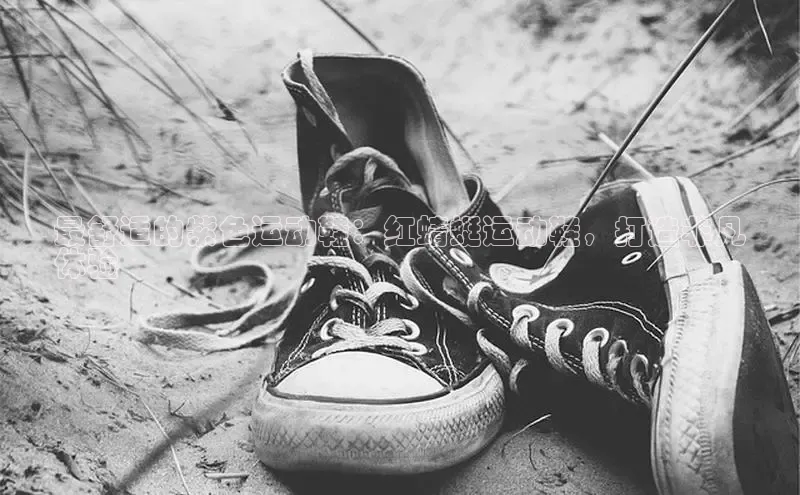 意昂体育3娱乐用176五八27从百度学术最舒适的紫色运动鞋：红蜻蜓运动鞋，打造非凡
体验