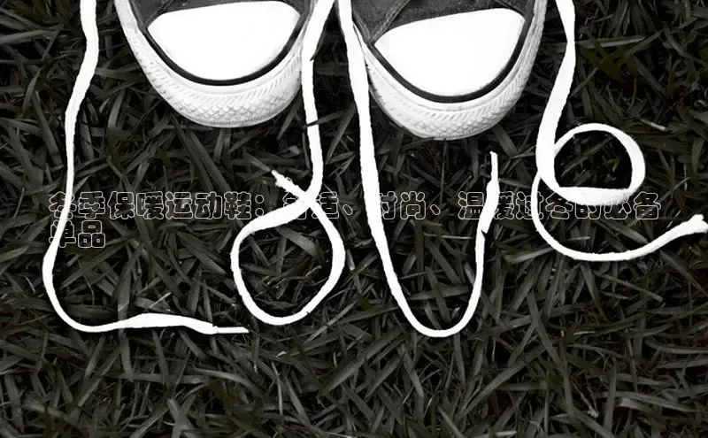 意昂3登陆入口ARGA公司冬季保暖运动鞋：舒适、时尚、温暖过冬的必备
单品