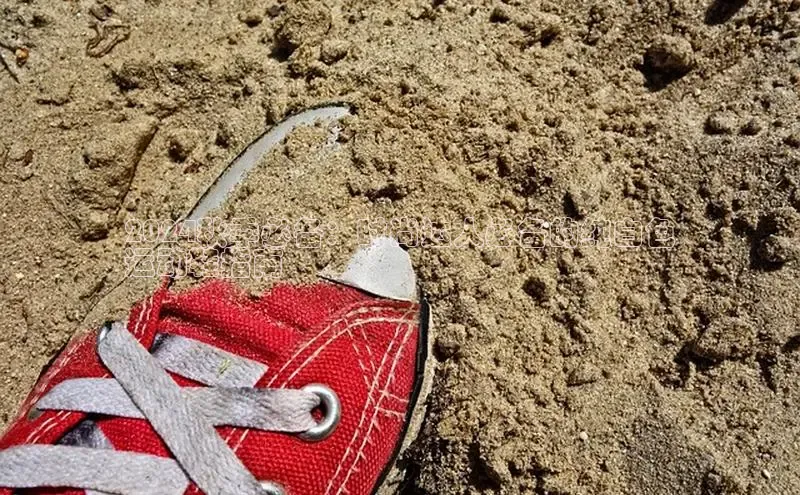 意昂三平台登录入口如流2024秋季必备：时尚达人必备的纯白色
运动鞋指南