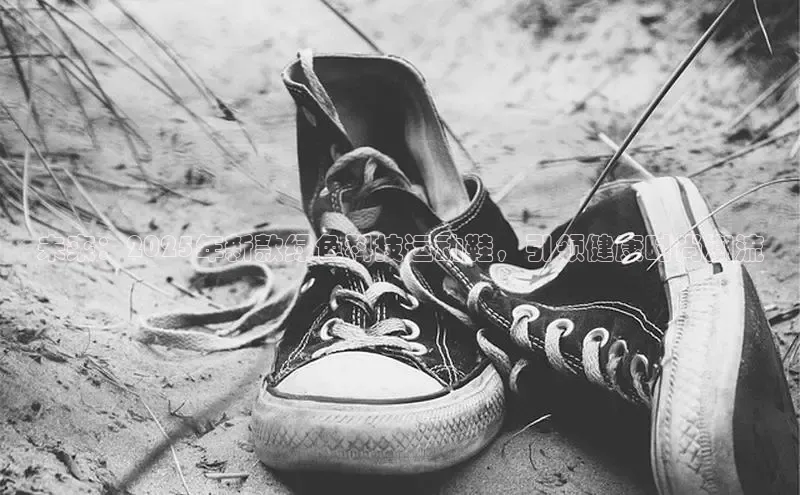 未来：2025年新款绿色科技运动鞋，引领健康时尚潮流