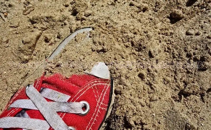 飞跃未来趋势：2025年安踏女士运动鞋的时尚革新与科技突破