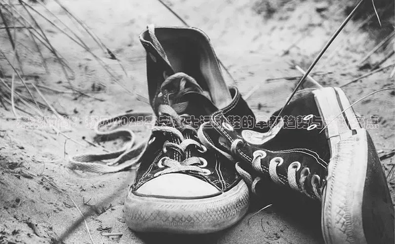 未来时尚：预见2025李宁女士运动鞋的革新趋势与设计亮点