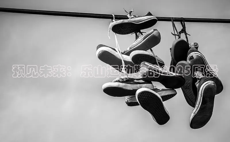 预见未来：乐山运动鞋的2025愿景