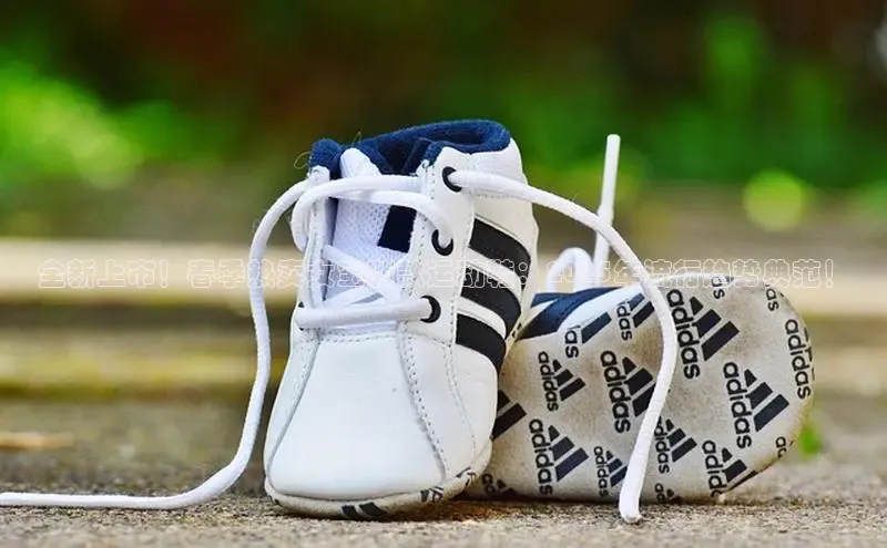 意昂体育app网页版登录入口